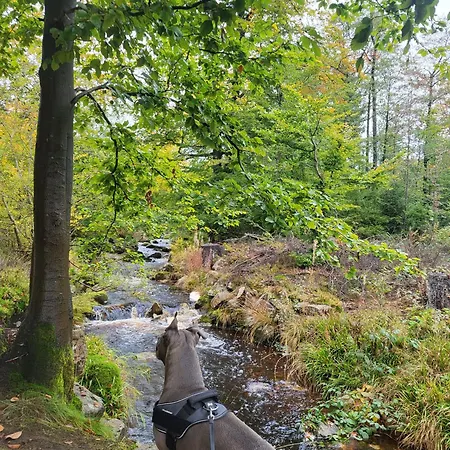Happel Am Wurmberg Braunlage